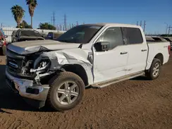 1FTEW3LP2RKD38855 2024 FORD F-150