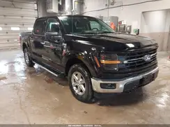 1FTEW3LP2SKE09381 2025 FORD F-150