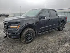 1FTEW3LP2SKF01221 2025 FORD F-150