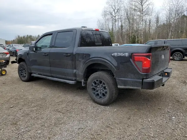 1FTEW3LP3RKD09686 2024 FORD F-150 - Image 2
