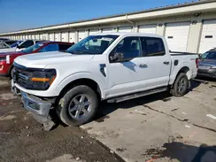 1FTEW3LP3RKD71329 2024 FORD F-150