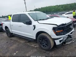 1FTEW3LP3RKF54200 2024 FORD F-150