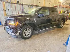1FTEW3LP3SKE07381 2025 FORD F-150
