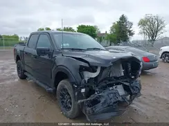 1FTEW3LP4RKF49412 2024 FORD F-150