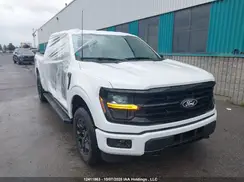 1FTEW3LP4SKE05395 2025 FORD F-150