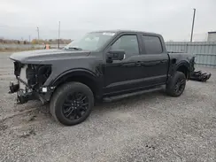 1FTEW3LP5RFA45198 2024 FORD F-150