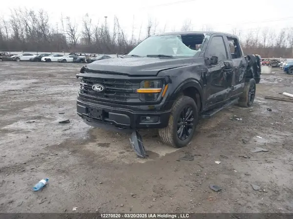 1FTEW3LP5RFB31031 2024 FORD F-150 - Image 2