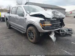1FTEW3LP5RKD39952 2024 FORD F-150