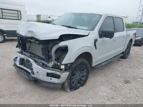 1FTEW3LP6RFB81484 2024 FORD F-150 - Image 2