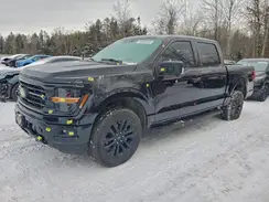 1FTEW3LP6RFC20249 2024 FORD F-150