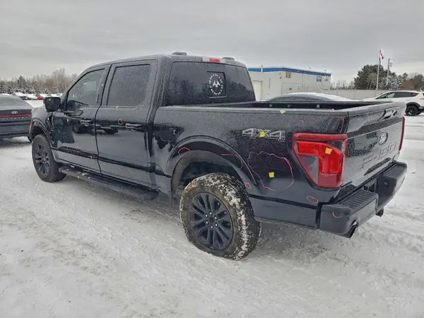 1FTEW3LP6RFC20249 2024 FORD F-150 - Image 2