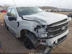 1FTEW3LP6RKE29868 2024 FORD F-150