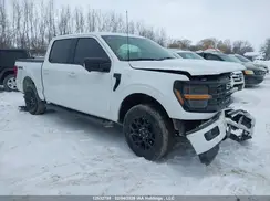 1FTEW3LP6RKE56519 2024 FORD F-150