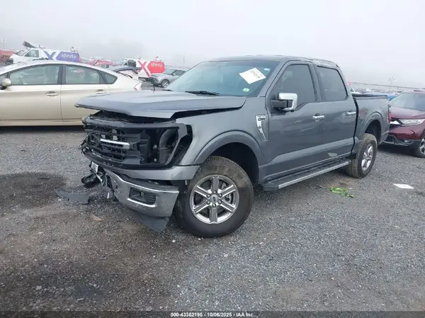 1FTEW3LP6RKE63566 2024 FORD F-150 - Image 2