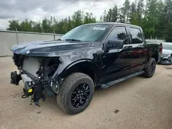 1FTEW3LP6SKD42459 2025 FORD F-150
