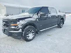 1FTEW3LP6SKE07004 2025 FORD F-150