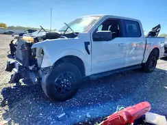1FTEW3LP7RKD71608 2024 FORD F-150