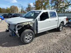 1FTEW3LP7RKF52465 2024 FORD F-150