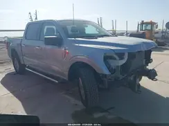 1FTEW3LP7SKE17198 2025 FORD F-150