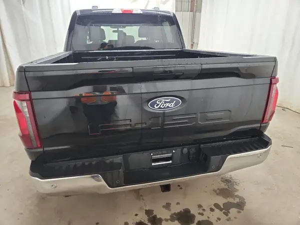 2025 FORD F-150 auction photo 6