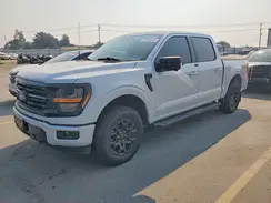1FTEW3LP7SKF19066 2025 FORD F-150