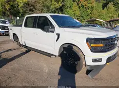 1FTEW3LP8RKD59256 2024 FORD F-150