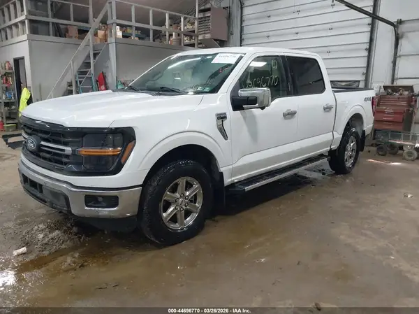 1FTEW3LP8RKE79462 2024 FORD F-150 - Image 2