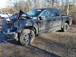 1FTEW3LP8SKD58064 2025 FORD F-150