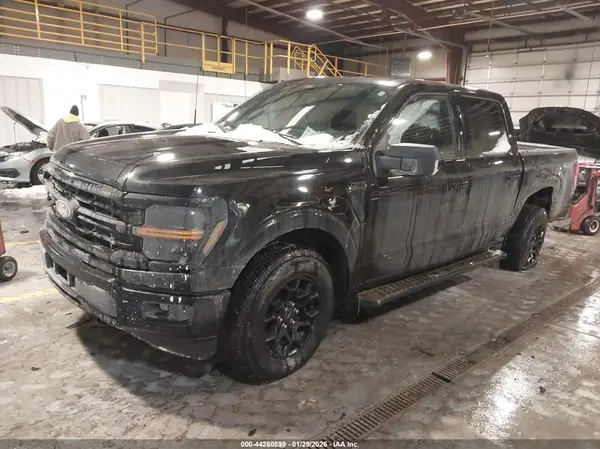 1FTEW3LP9RKD70878 2024 FORD F-150 - Image 2