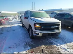 1FTEW3LP9RKF50961 2024 FORD F-150