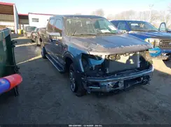 1FTEW3LPXRFB22289 2024 FORD F-150