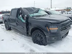 1FTEW3LPXRFB91533 2024 FORD F-150