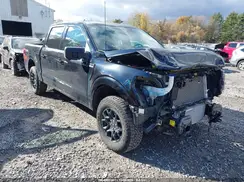 1FTEW3LPXRKD79377 2024 FORD F-150