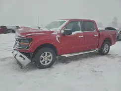 1FTEW3LPXRKF79840 2024 FORD F-150