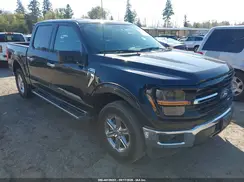 1FTEW3LPXSKE16028 2025 FORD F-150