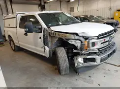 1FTEX1C48KKE41467 2019 FORD F-150