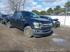 1FTEX1C50KFA46345 2019 FORD F-150