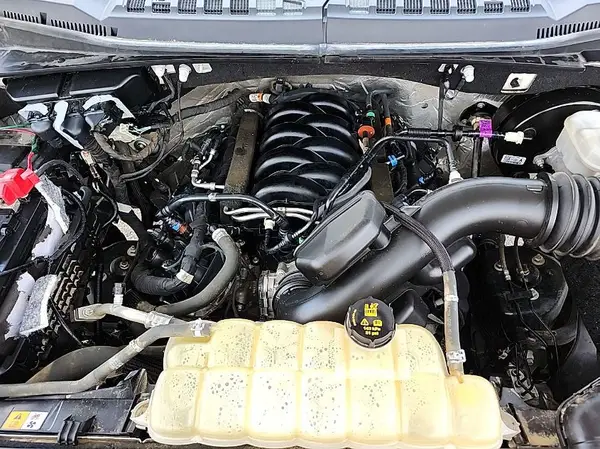 1FTEX1C58KKE17811 2019 FORD F-150 - Image 8