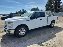 1FTEX1C81GFB02603 2016 FORD F-150