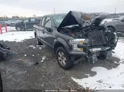 1FTEX1C81GFB09051 2016 FORD F-150