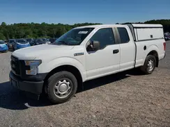 1FTEX1C84HKD20060 2017 FORD F-150