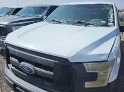 1FTEX1C89HKC49194 2017 FORD F-150