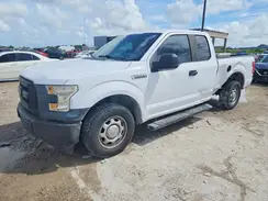 1FTEX1C8XHKE39389 2017 FORD F-150