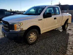 1FTEX1CB8KKD33834 2019 FORD F-150