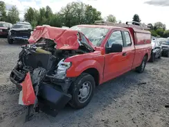 1FTEX1CP1KKC16138 2019 FORD F-150