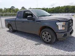 1FTEX1CP7GKF80264 2016 FORD F-150