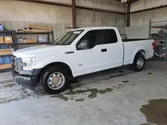 1FTEX1CP8GFB21396 2016 FORD F-150