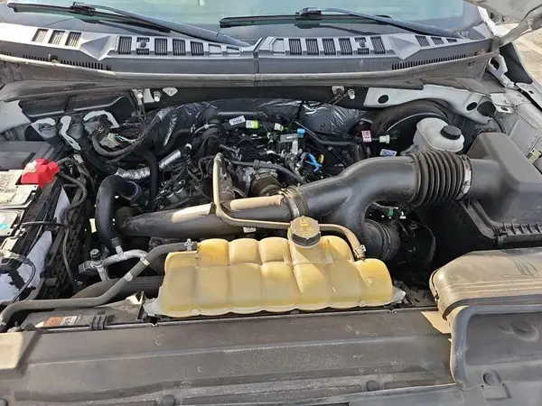 1FTEX1CP9KKD65347 2019 FORD F-150 - Image 2