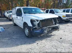 1FTEX1CPXPKD02233 2023 FORD F-150
