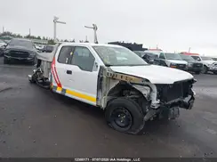 1FTEX1E57KKE00527 2019 FORD F-150
